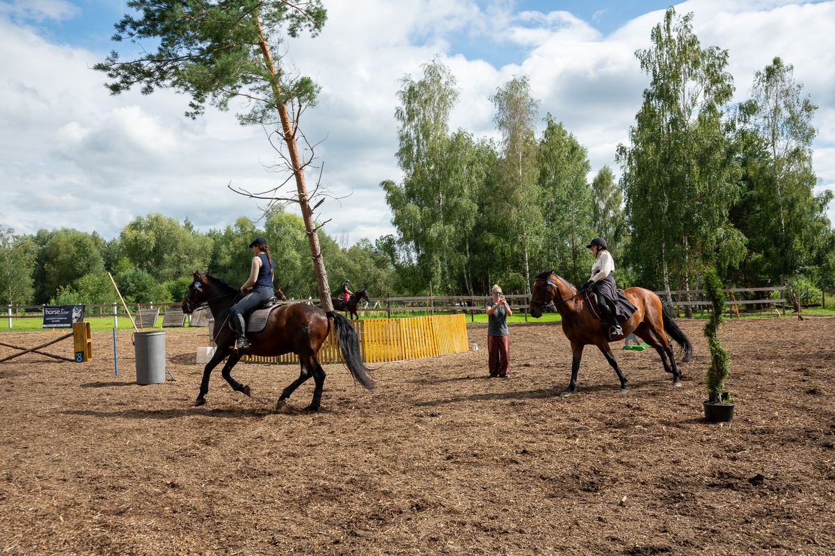 LALWE Letnia Liga Amatorska Working Equitation 