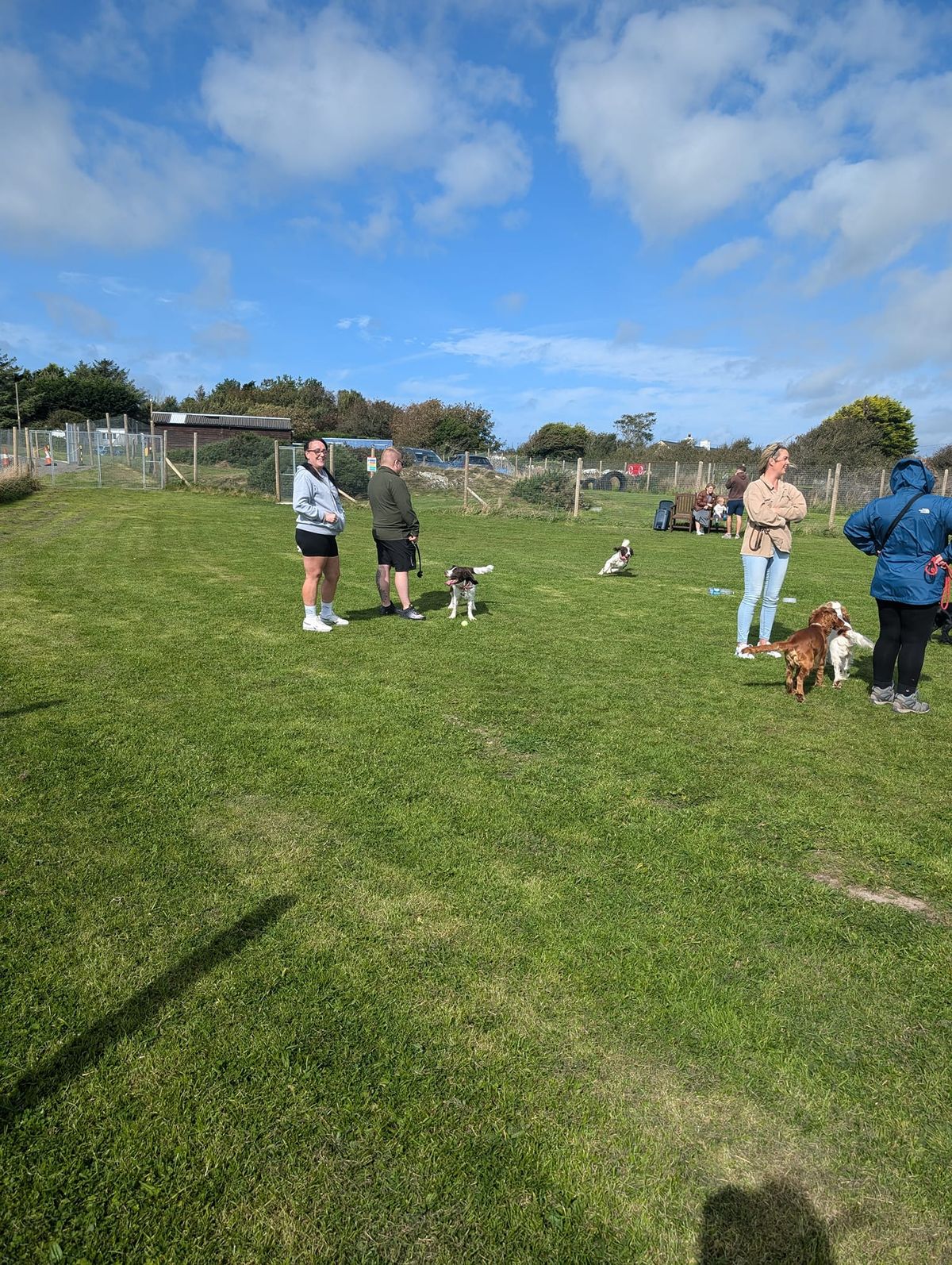 Socialisation Class for all breeds