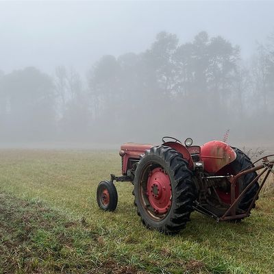 Pinewood Springs Farm