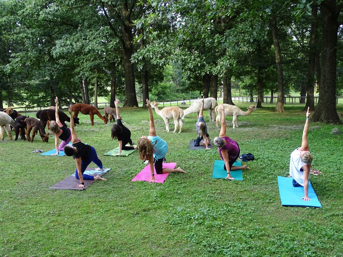 Paca Yoga