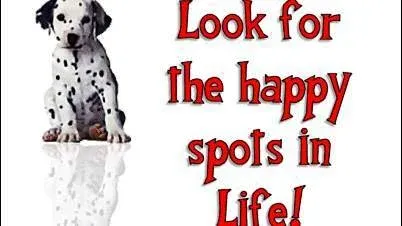 Saturday Morning: Walk the Riparian - NOW 7:30 am