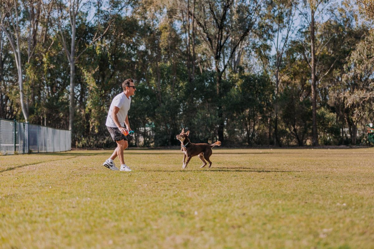 Pet Education Sessions - Body Language & Etiquette