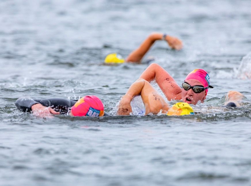 Buzzards Bay Swim