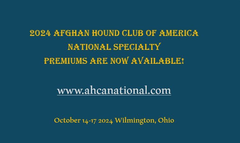 Afghan Hound Club of Dallas - Colonial Afghan Hound Club 