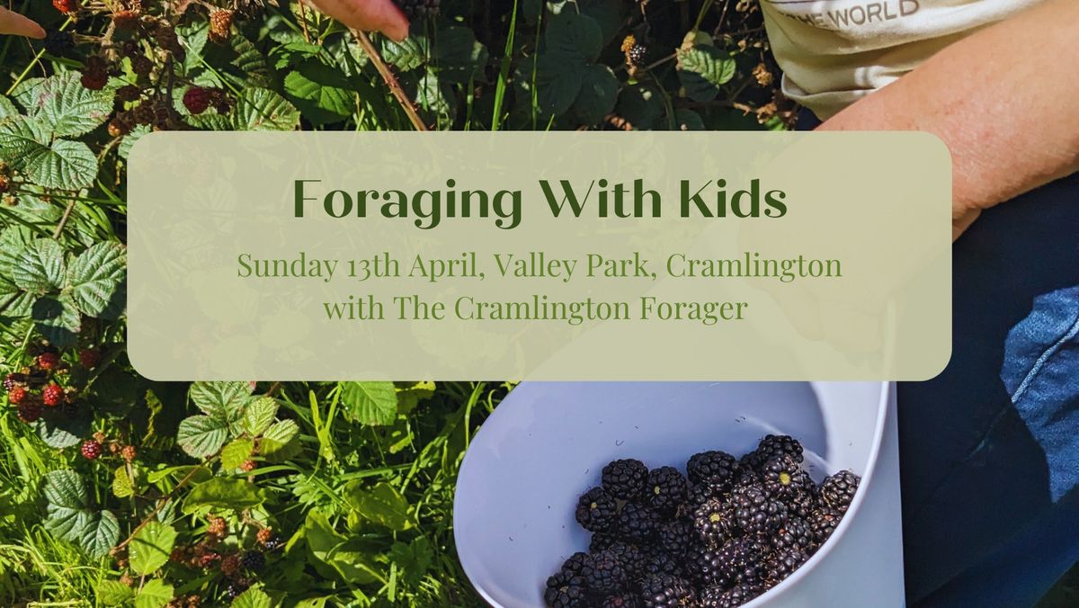 SOLD OUT - Foraging With Kids at Valley Park, Cramlington