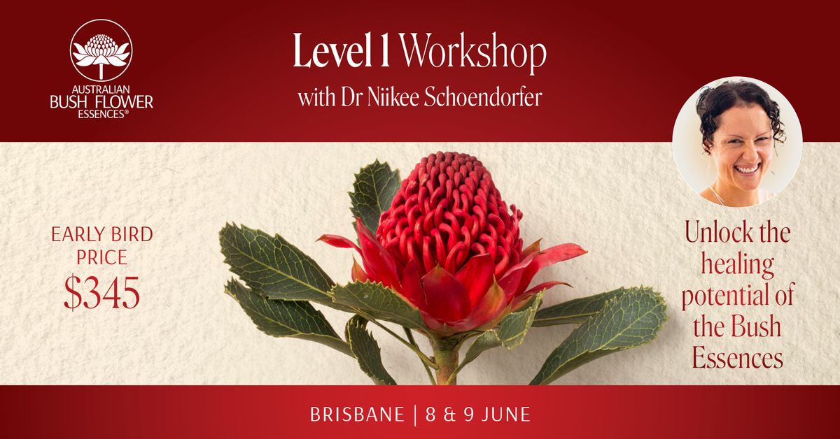  ABFE Level 1 Workshop : Brisbane 