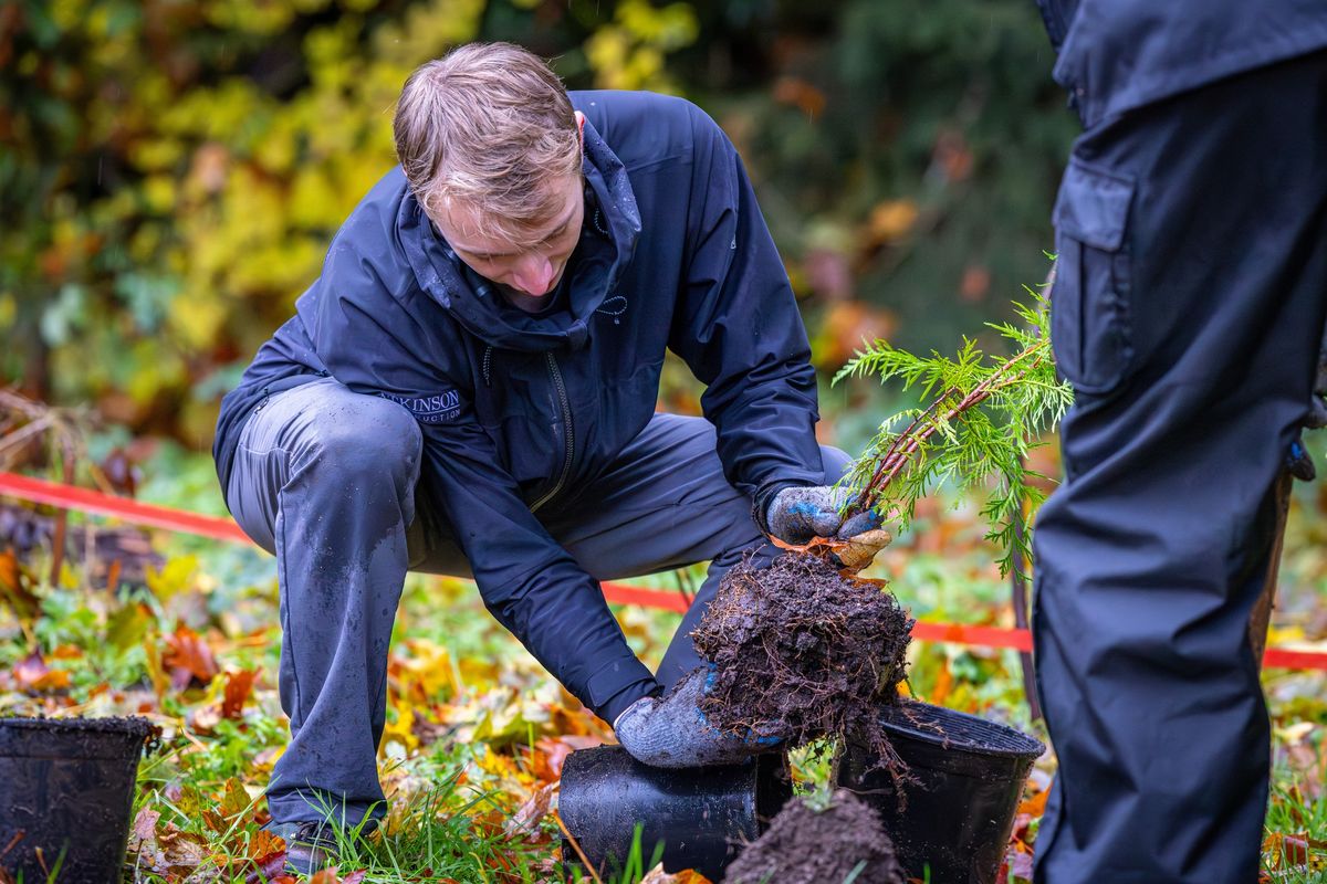 Green Issaquah Day: East Sunset Way Trailhead Tree Planting