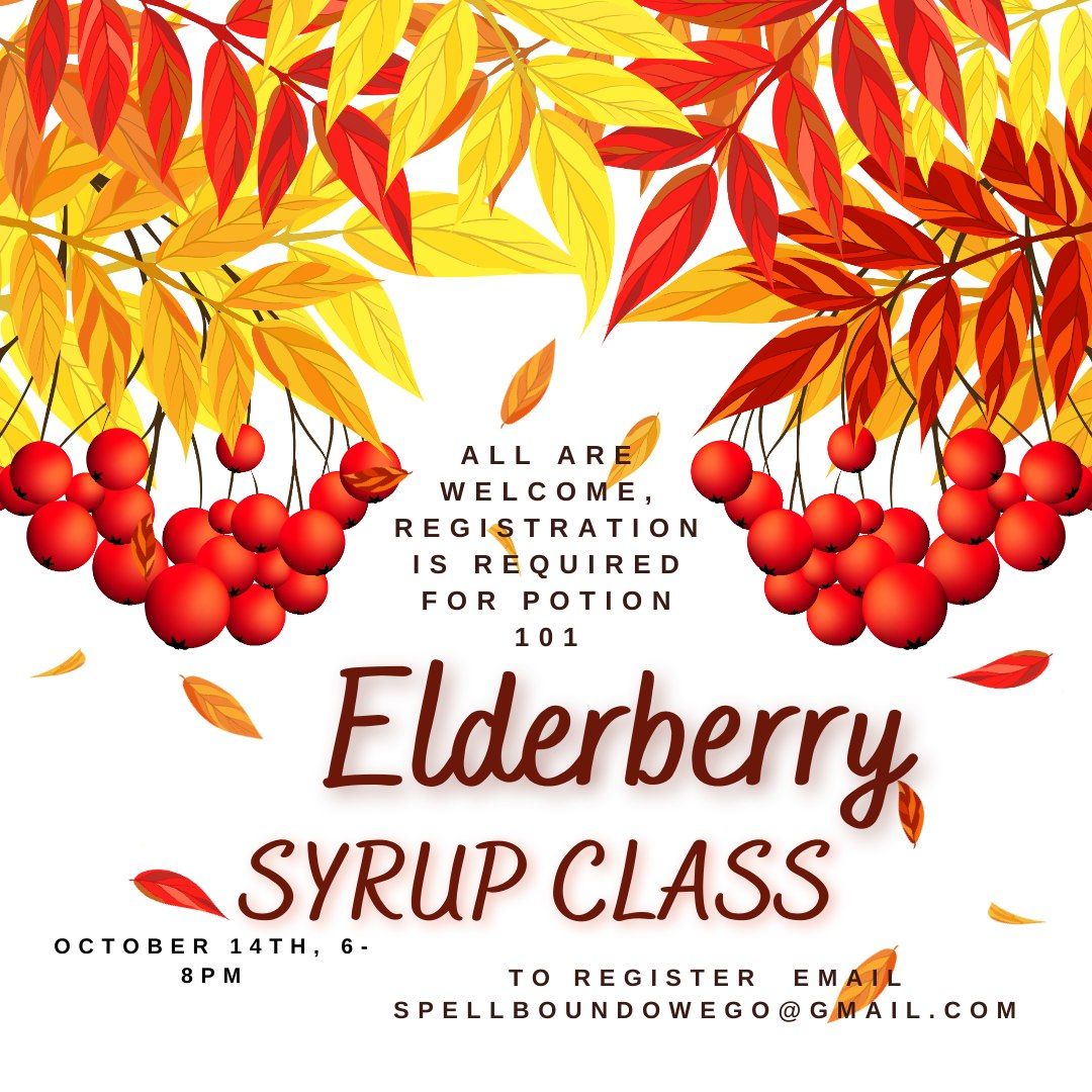 Elderberry Syrup, Potions 101