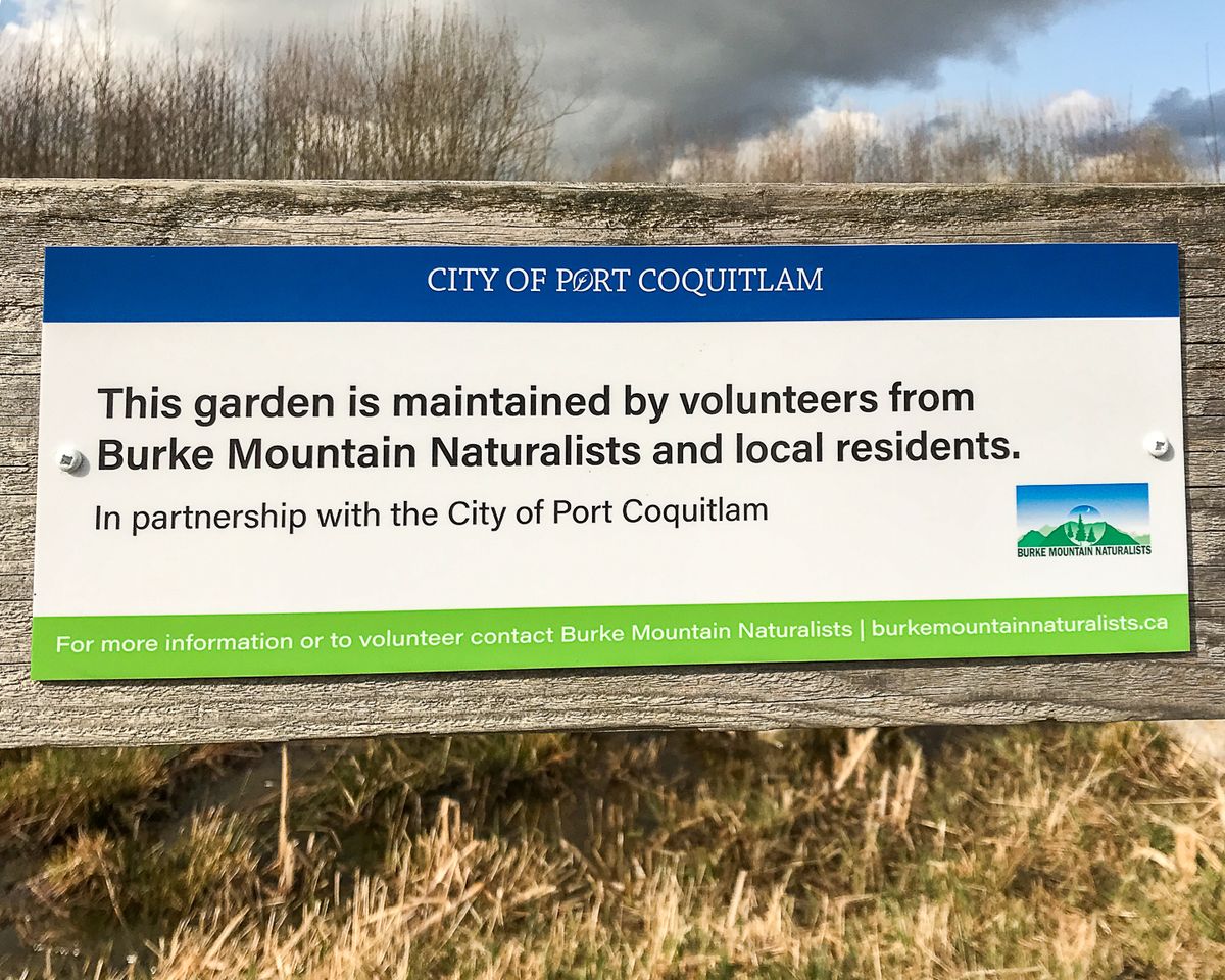 Invasive Plant Removal Work Party at Blakeburn Lagoons Park