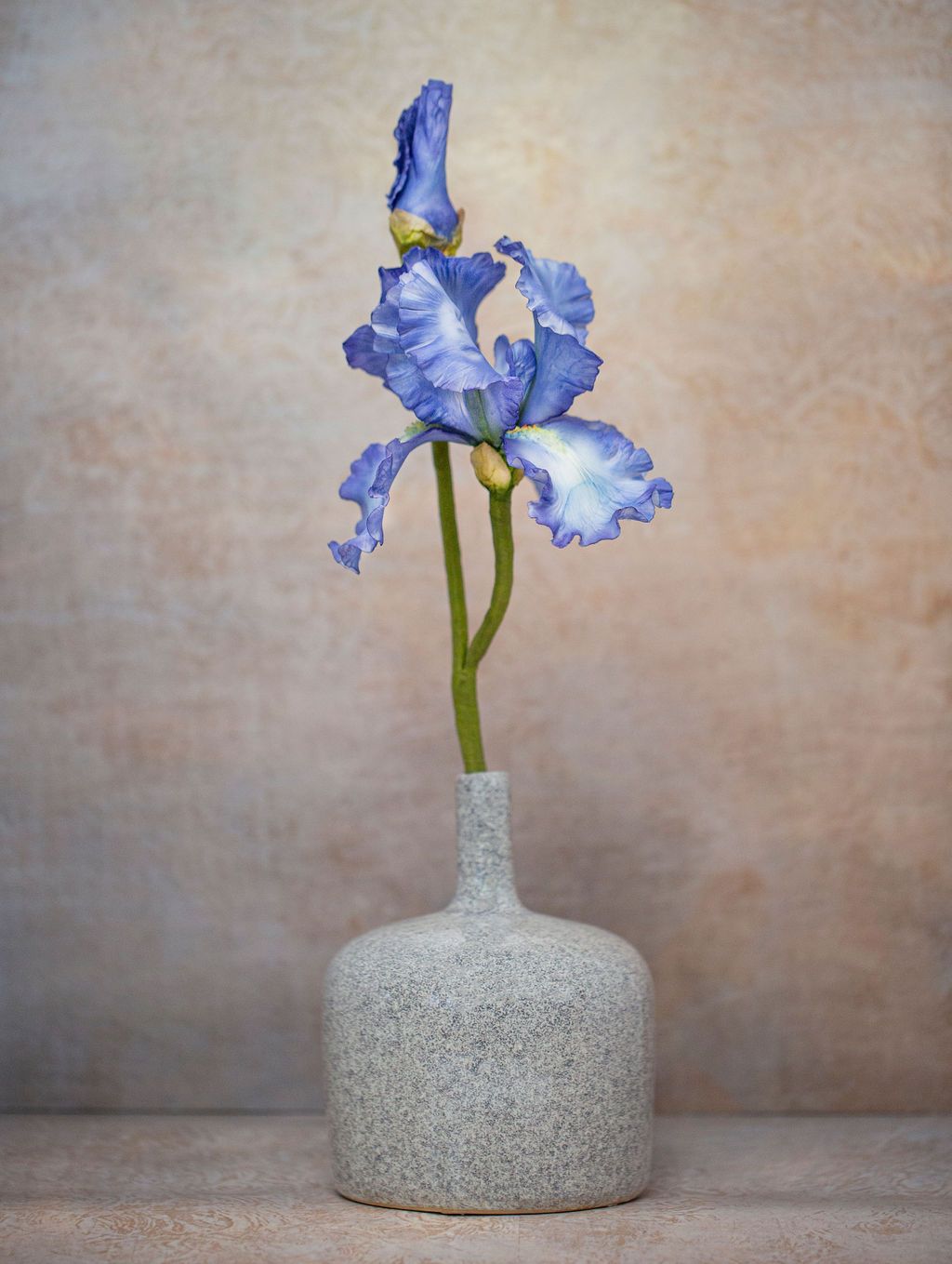 Bearded Iris and Orlaya Grandiflora, 2-day Advanced Sugar Flower Class