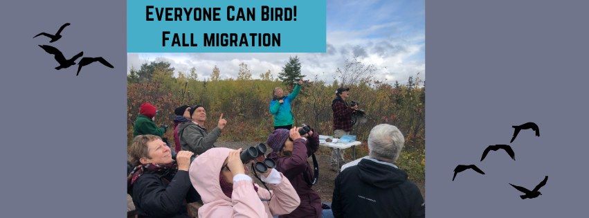 Everyone Can Bird! Fall Migration