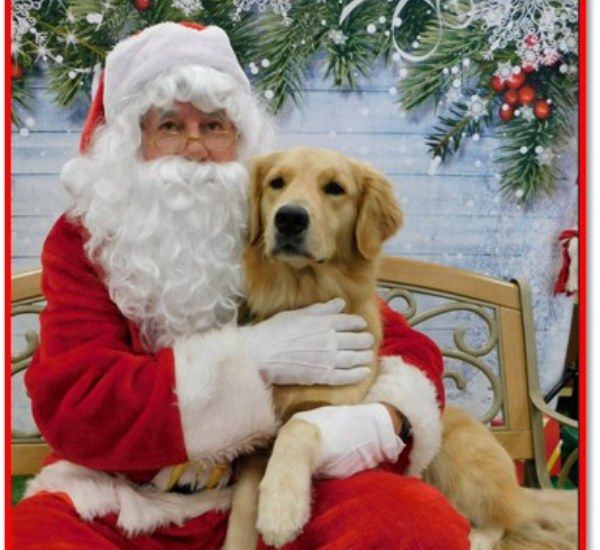 Puppy & Santa Session - Canvas Paw Paint & Photo ( EVENT )