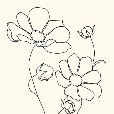 The Code Switch Collective