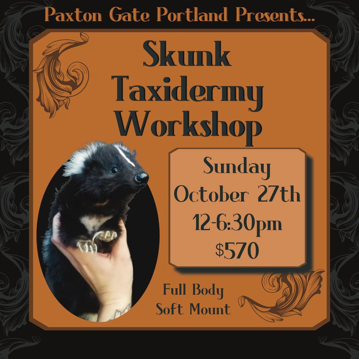 Skunk Taxidermy Workshop