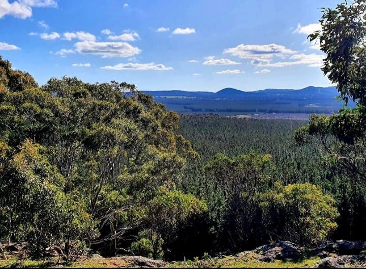 Sober Camping\/Hiking Weekend