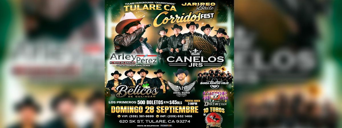 LOS CANELOS JRS, LOS BELICOS DE CUALIACAN & MAS