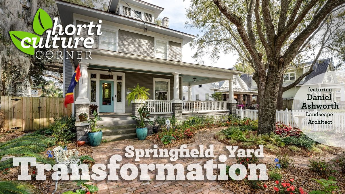 Horticulture Corner: Springfield Yard Transformation