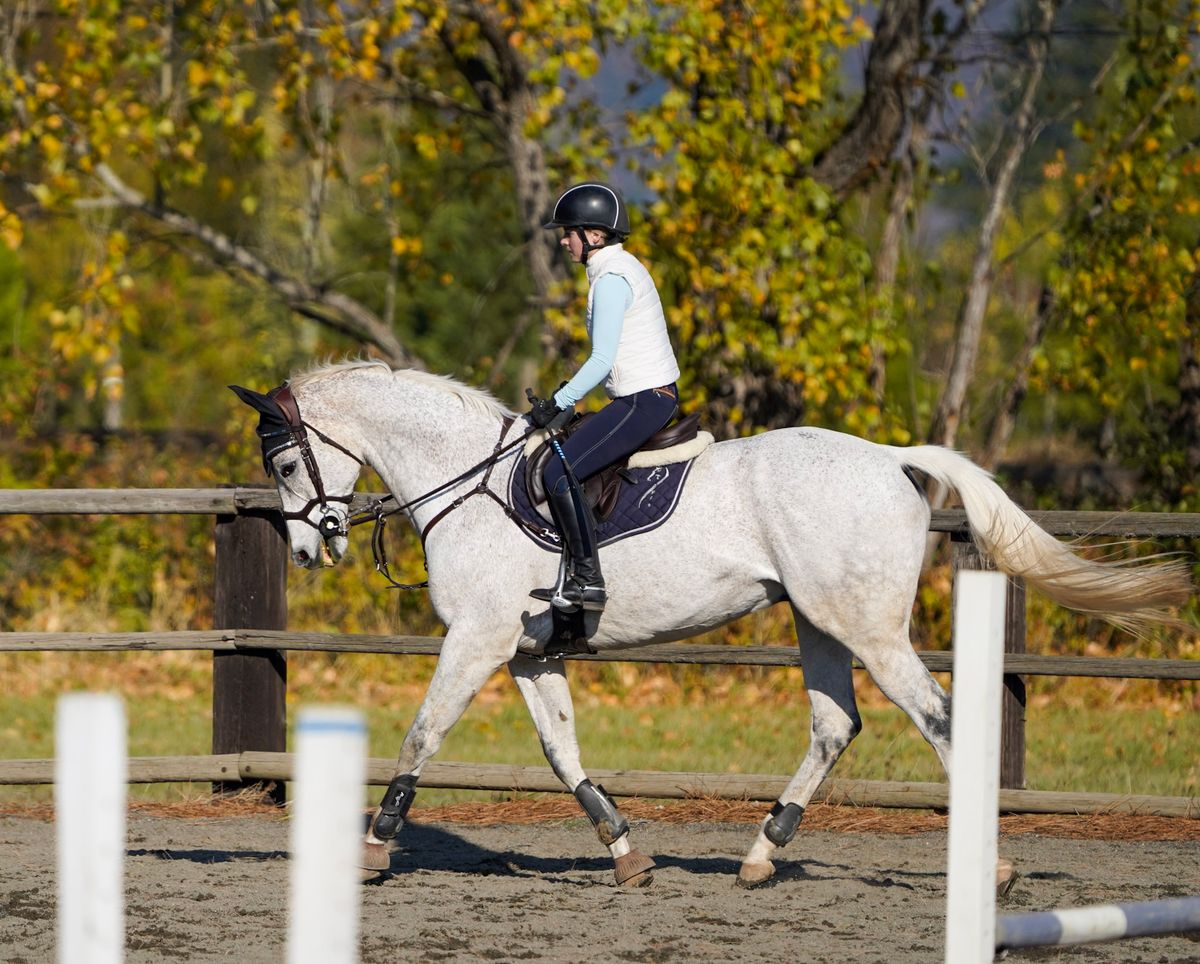 Balanced Jumping Clinic Series at Hood River Saddle Club