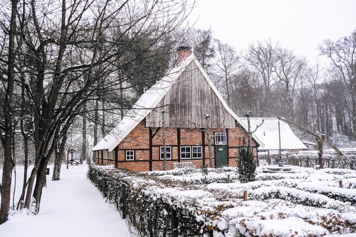 Midwinterhoornblazen in het Ledeboerpark