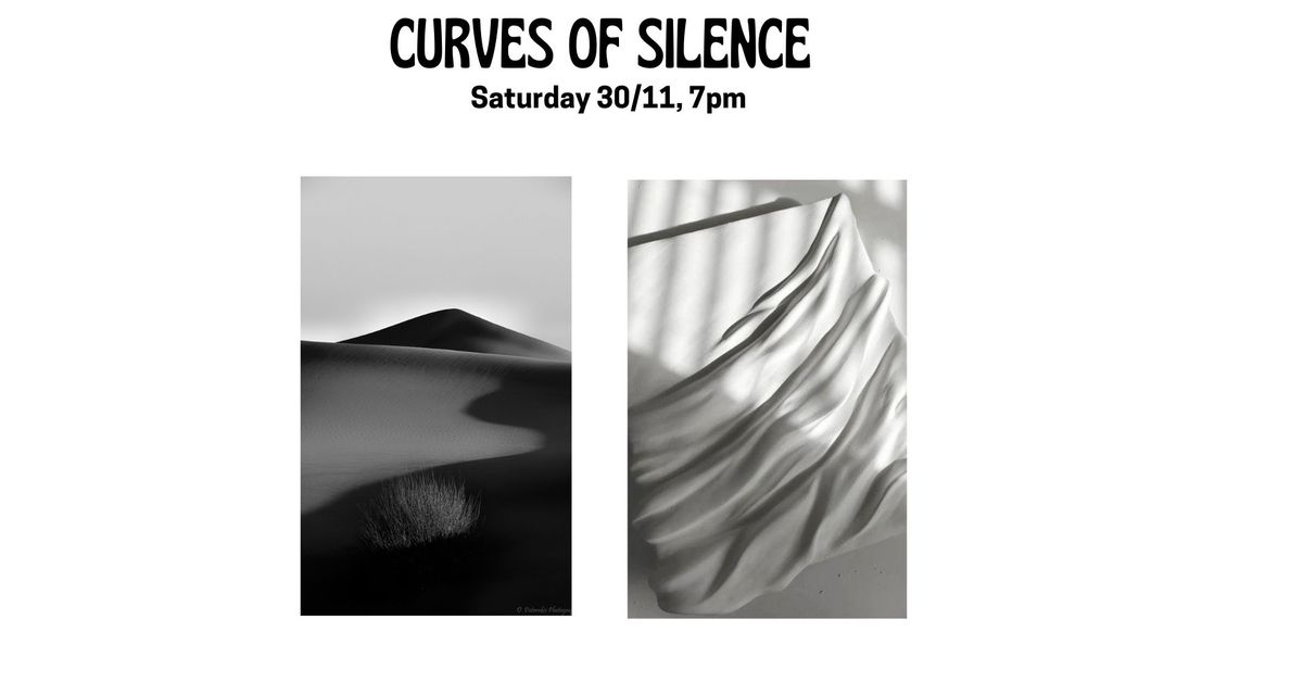 Vernissage - Curves of Silence