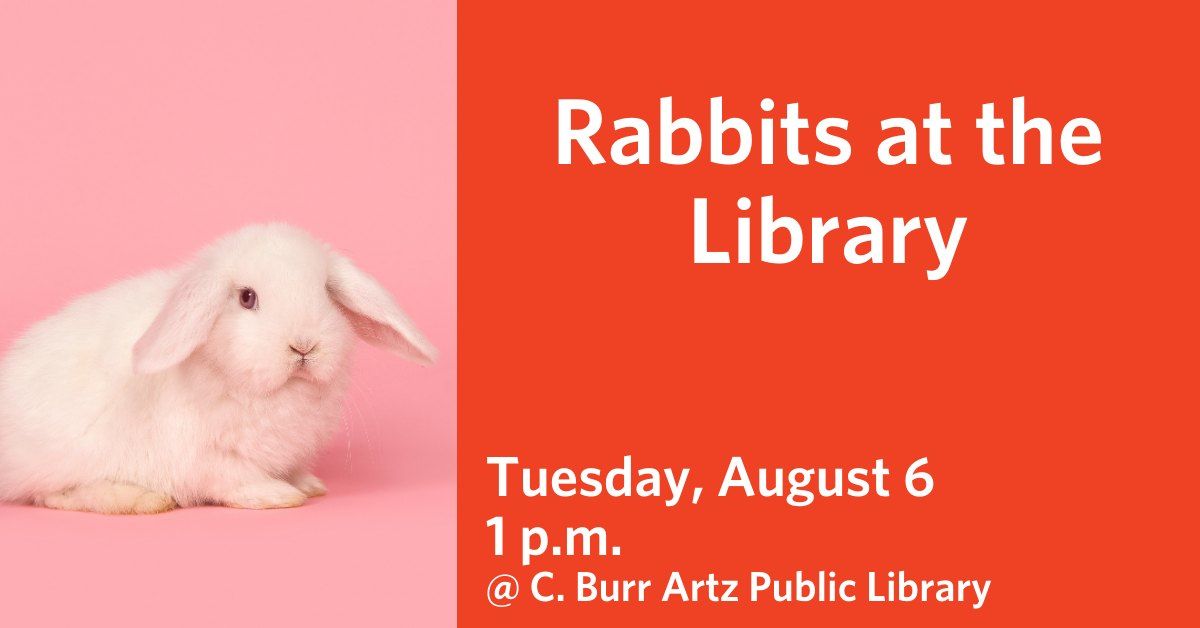 Rabbits at the Library