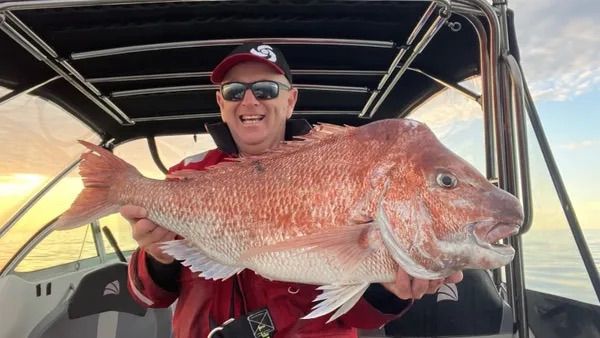 How to catch more Snapper with Fergy