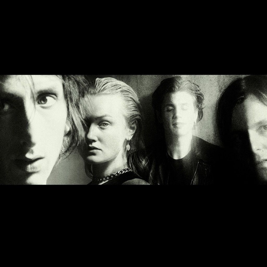 The Horrors