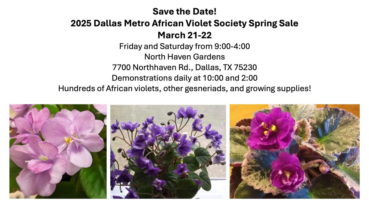 Dallas Metro African Violet Society Spring Sale 