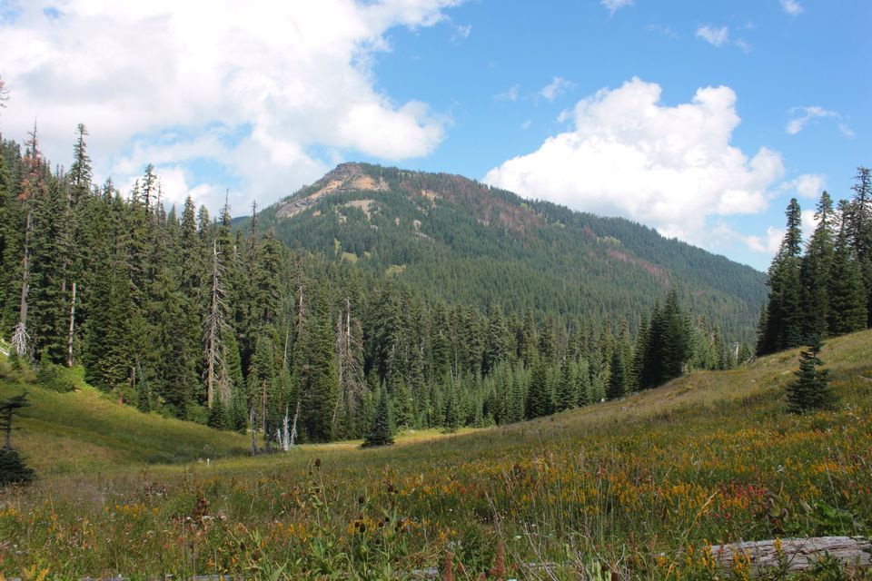 Hike Rattlesnake Mountain, Douglas County Courthouse, Northeast