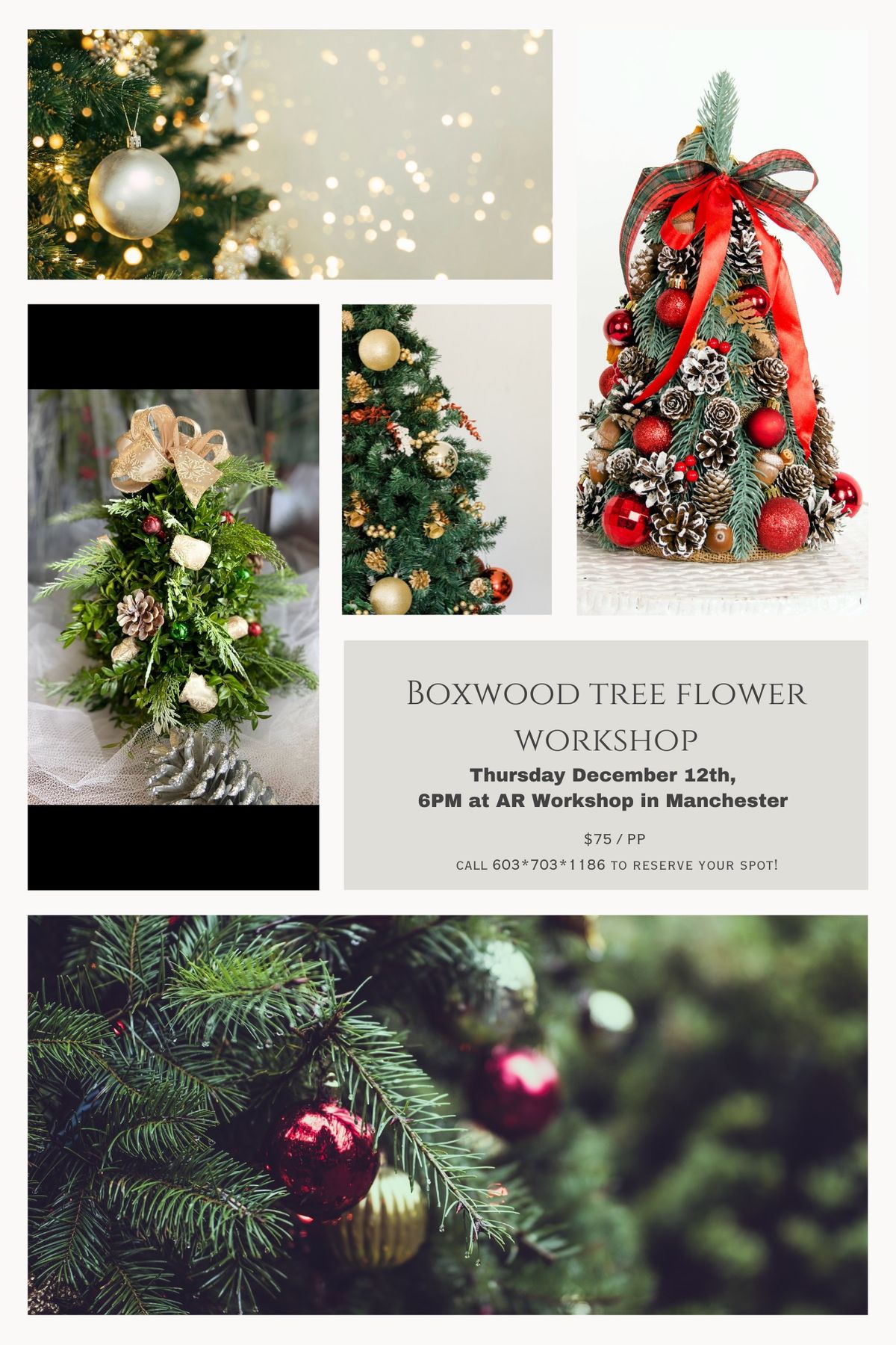 Boxwood Tree Workshop