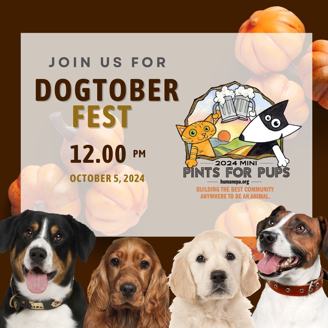 DOGTOBERFEST