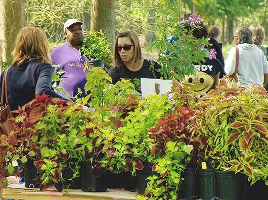 East Baton Rouge Parish Master Gardener Plant Sale