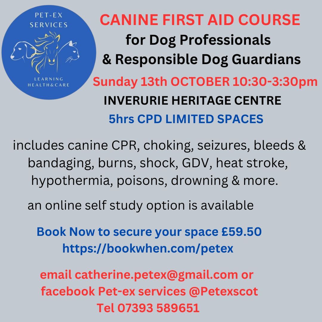 INVERURIE Canine First Aid Course