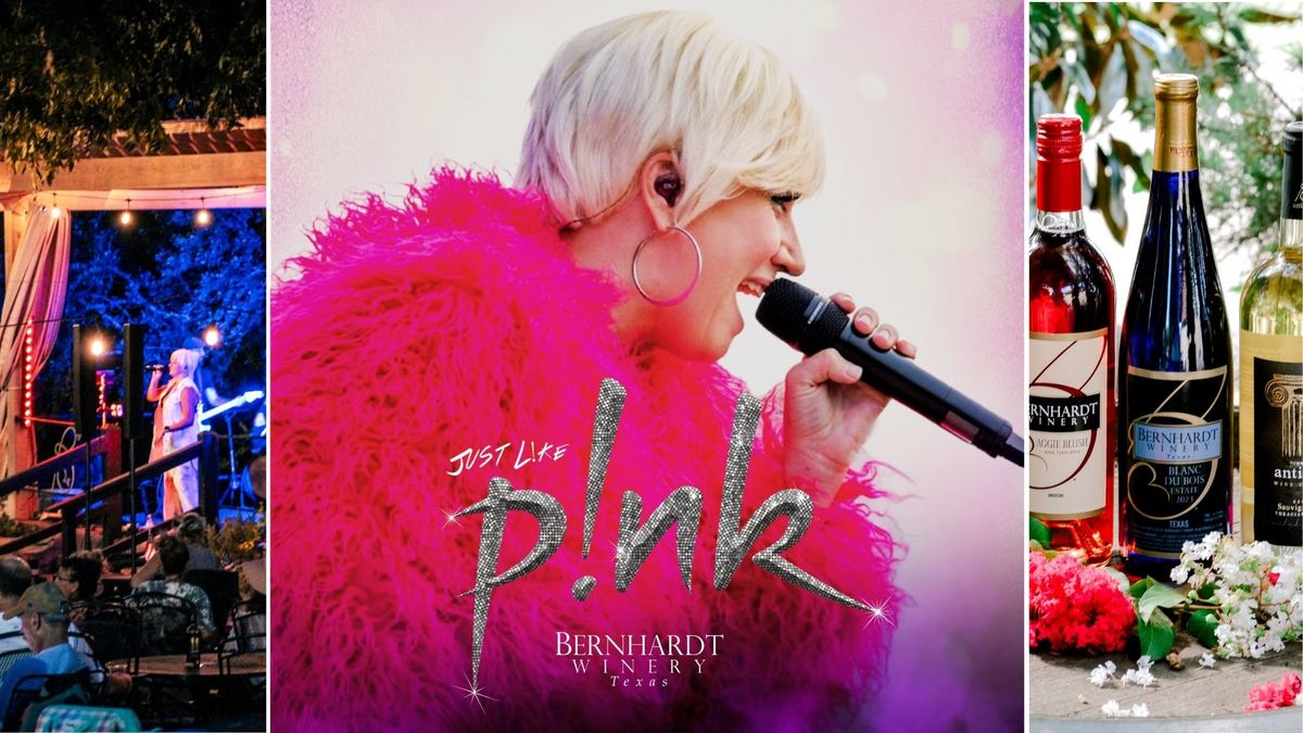 Just Like PiNK: The PINK Experience