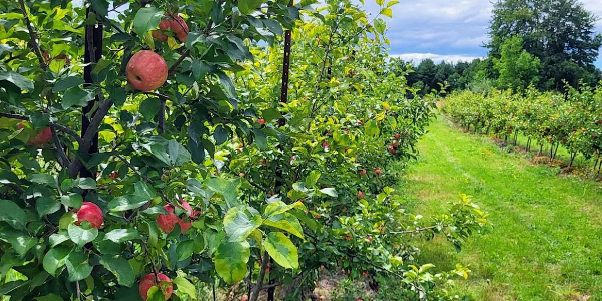 Farm to Table Yoga