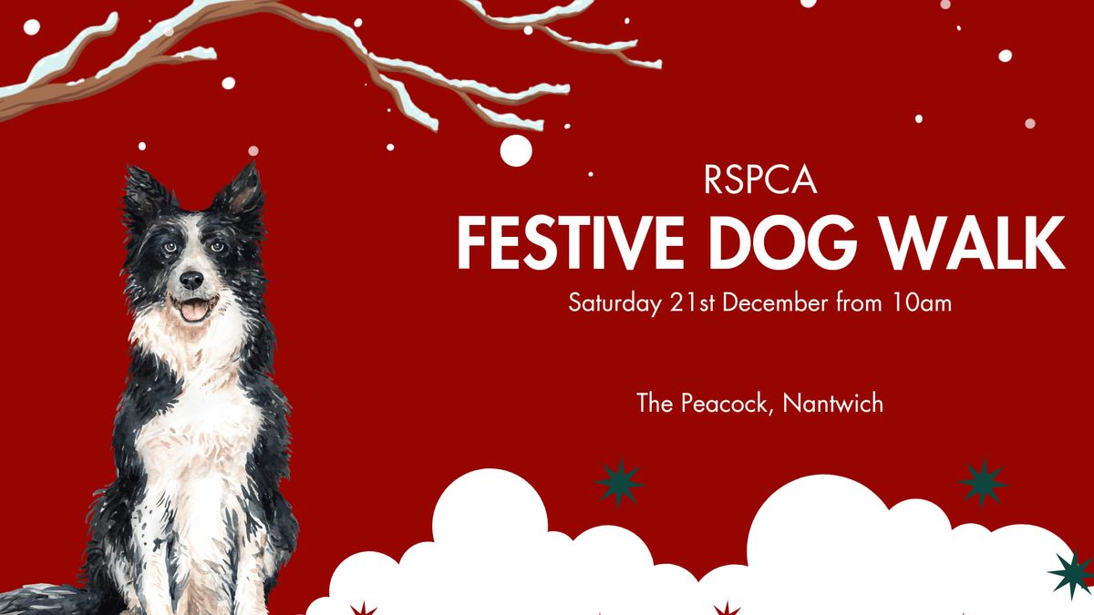 RSPCA Festive Dog Walk