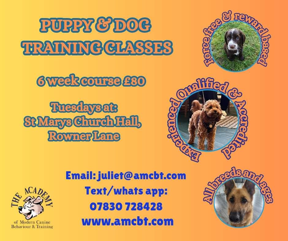 Puppy\/Dog training course