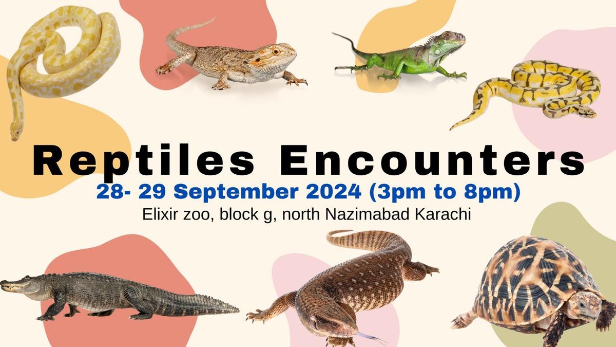 Reptiles Encounters