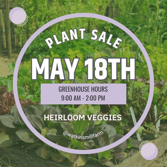 Saturday Heirloom Veggie Plant Sale - ? ? 