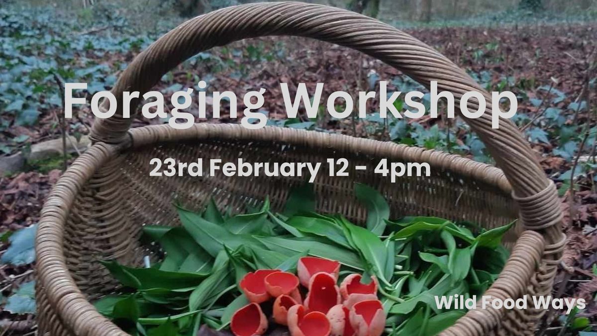 Foraging Workshop