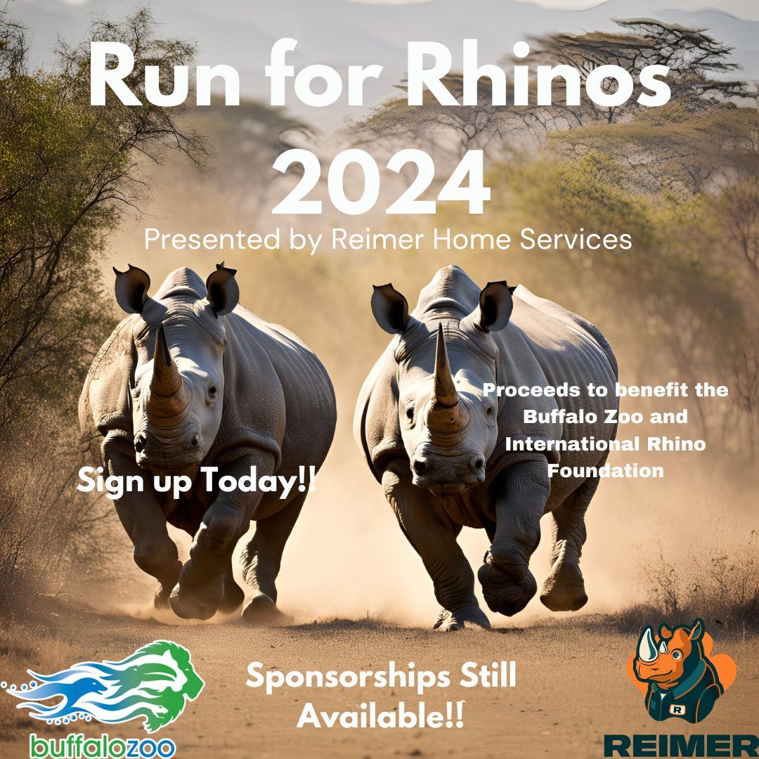 Fifth Annual Run for Rhinos