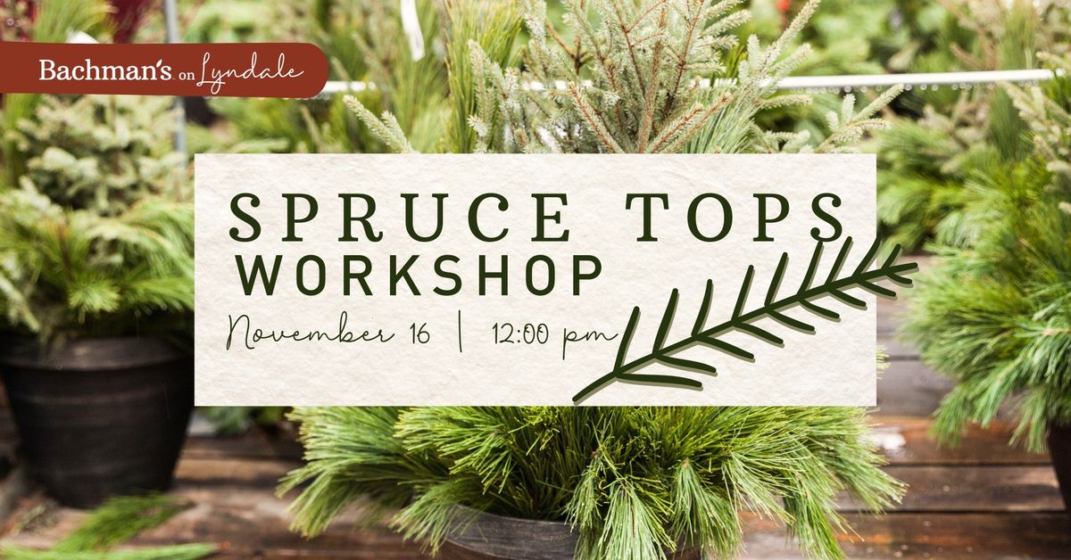 Spruce Top Planter Workshop | 12:00 PM