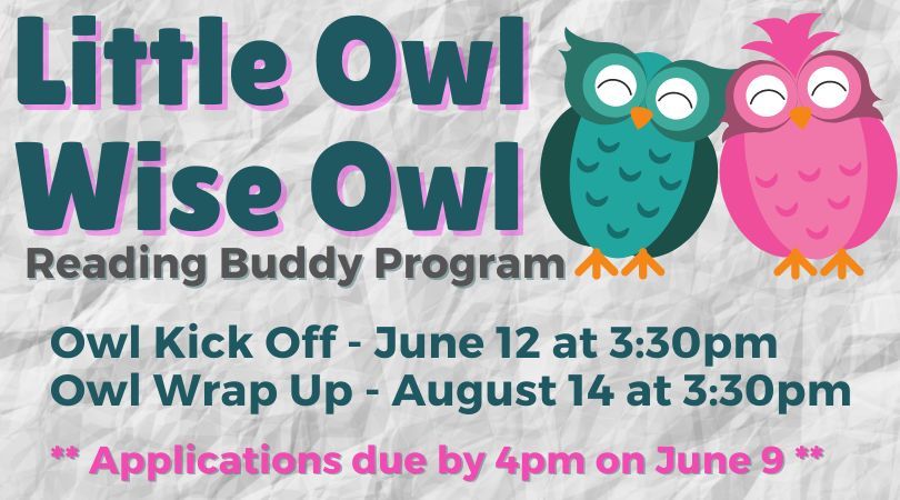 Little Owl Wise Owl Wrap Up Celebration
