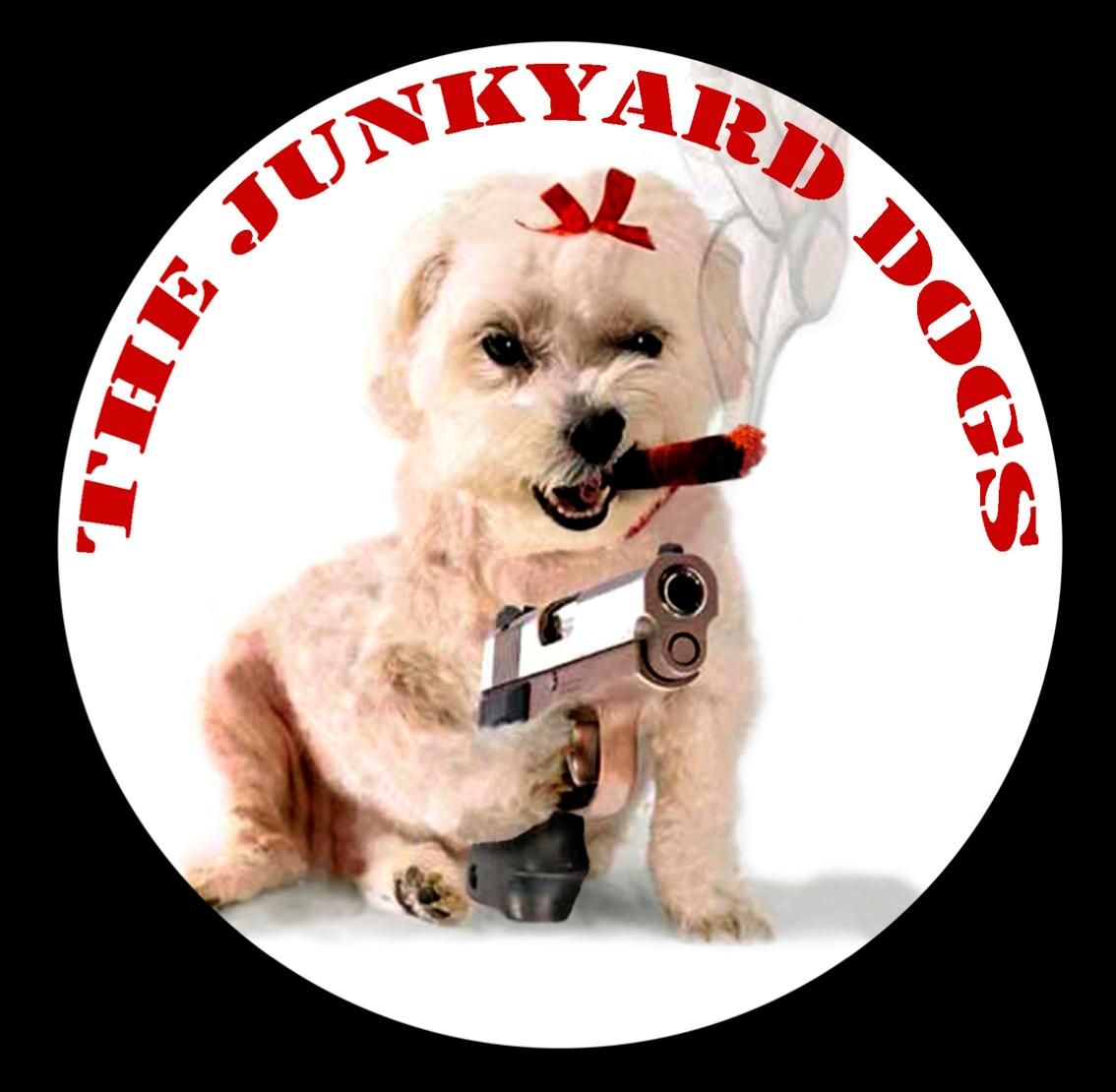 The Junkyard Dogs at The Maiden's Head, Maidenhead