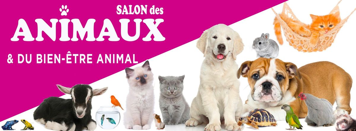 SALON DES ANIMAUX - BRIVE