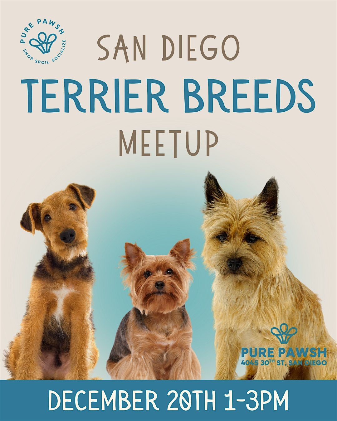San Diego Terrier Breed Meetup