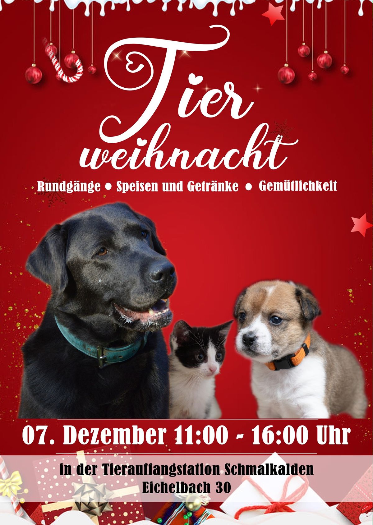 Tierweihnacht in der Tierauffangstation\ud83c\udf84\ud83d\udc3e\ud83c\udf85\ud83c\udffc