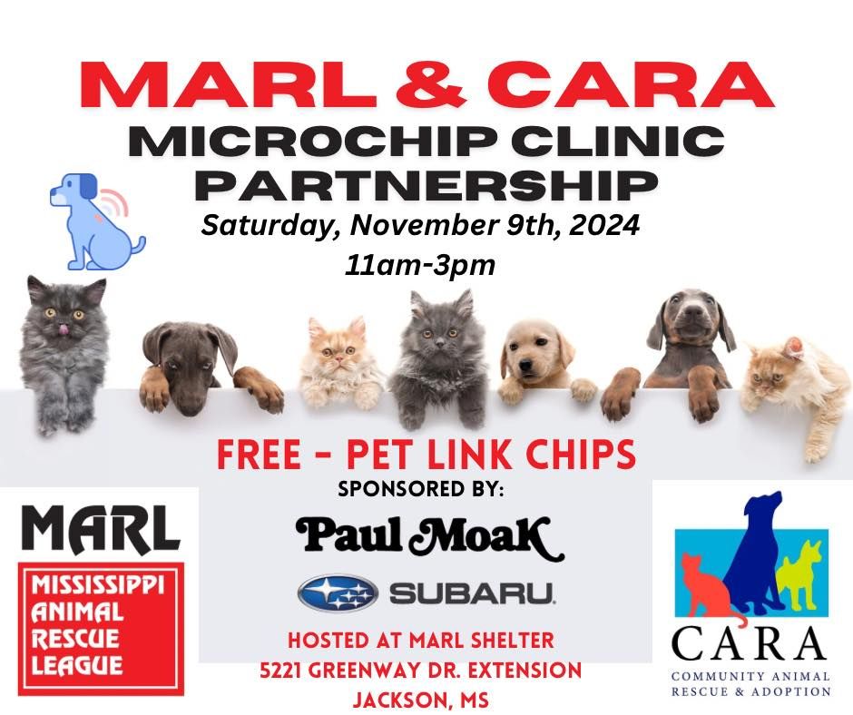 Free Microchip Clinic