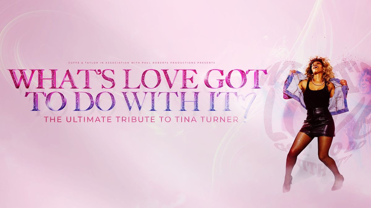 What's Love Got to do With it - Tina Turner Tribute