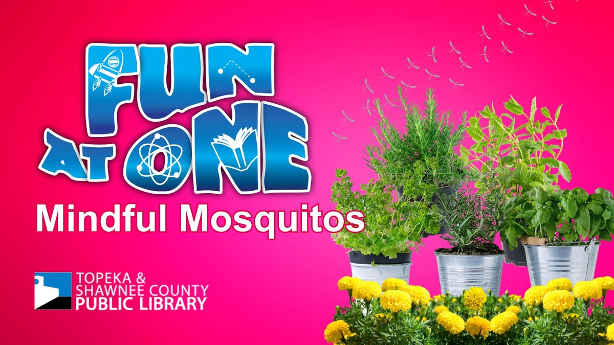 Fun at One \u2013 Mindful Mosquitos